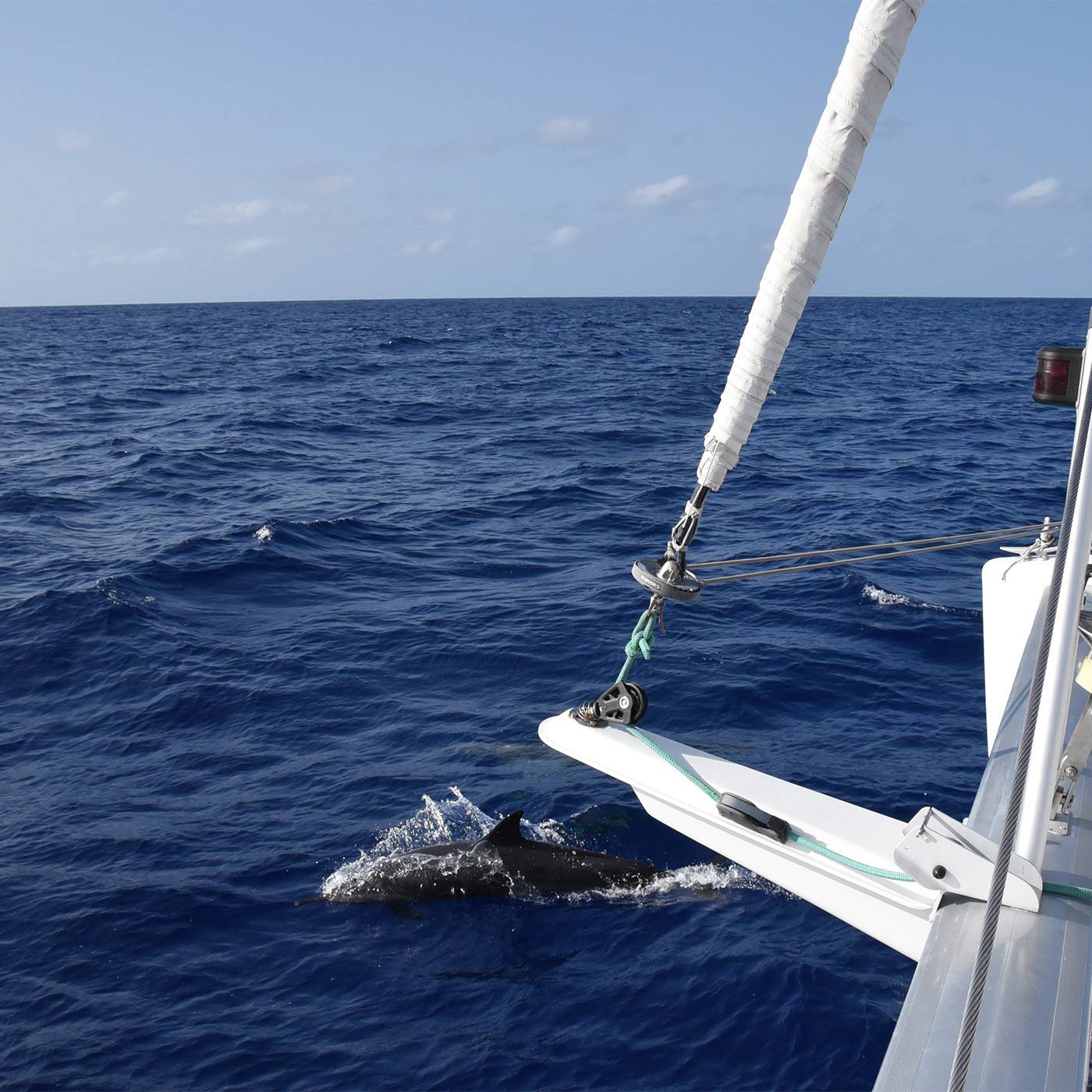 catamaran-boat-fountaine-pajot-circumnavigation