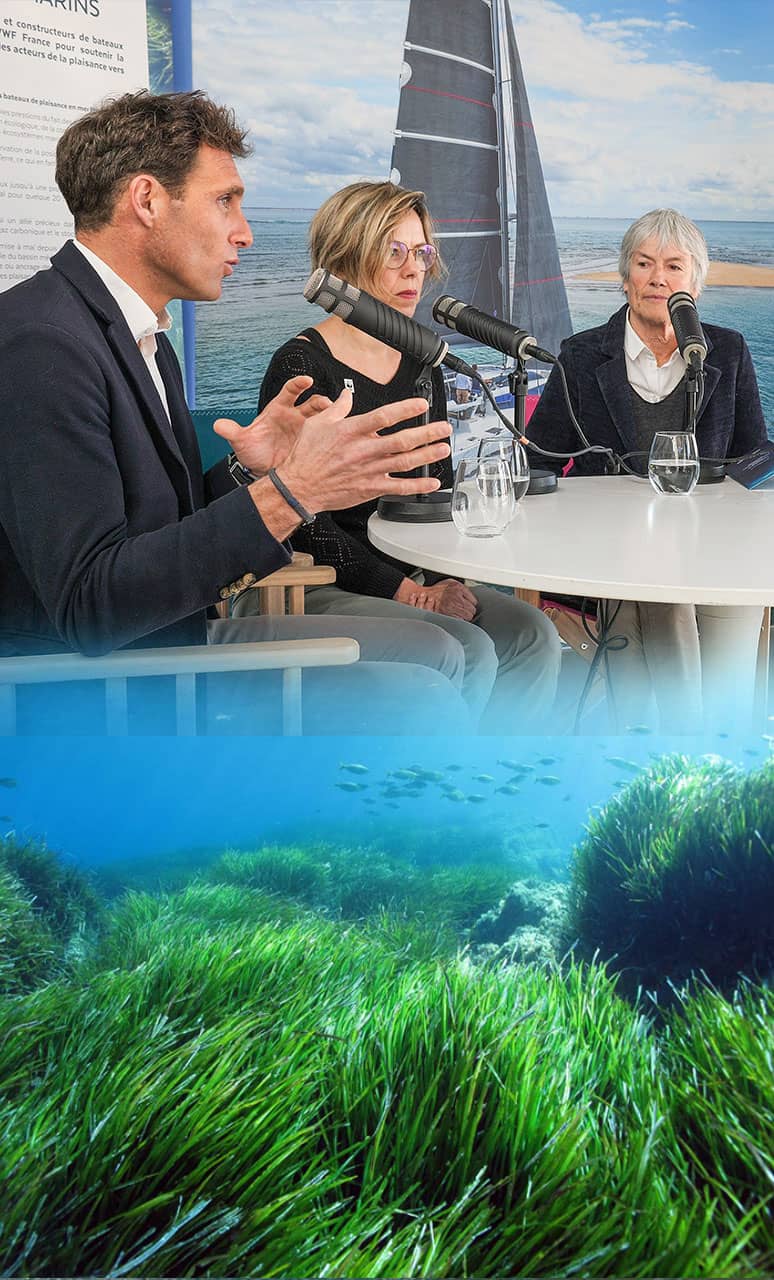 catamarano energy observer protection-de-la-posidonie-WWF-France