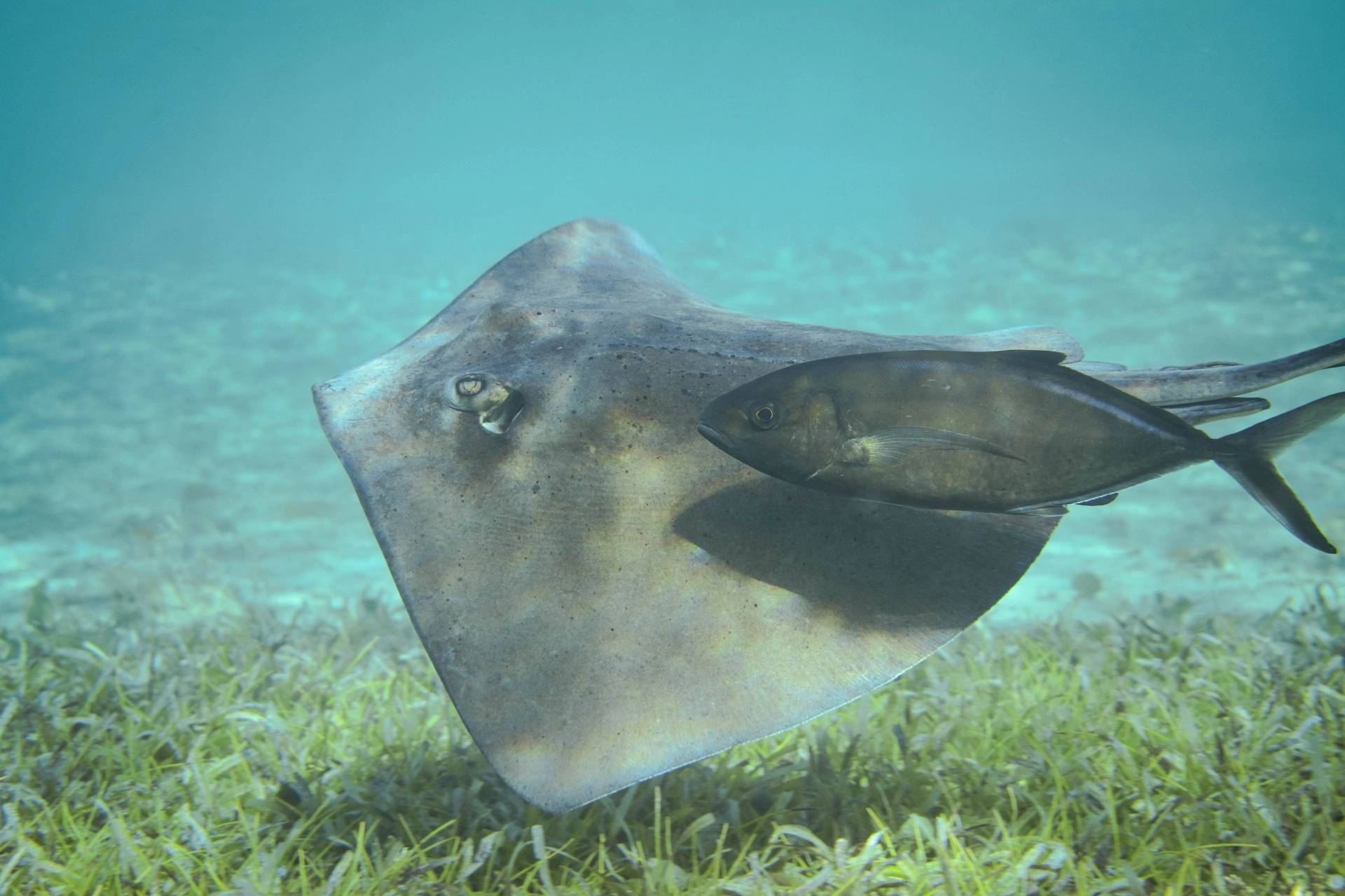 sailing-trip-on-a-catamaran