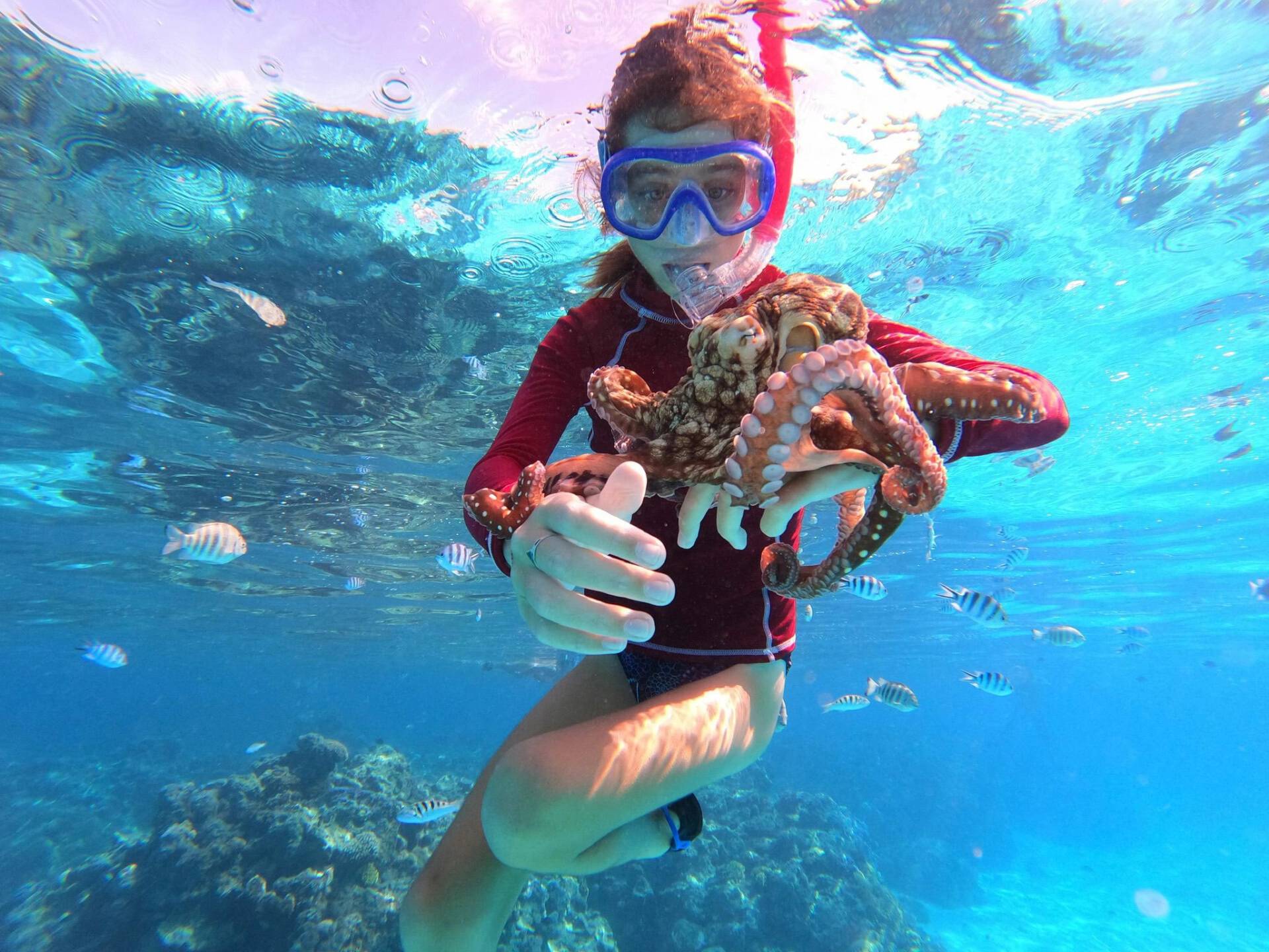 best-catamaran-sailing-picture-fountaine-pajot