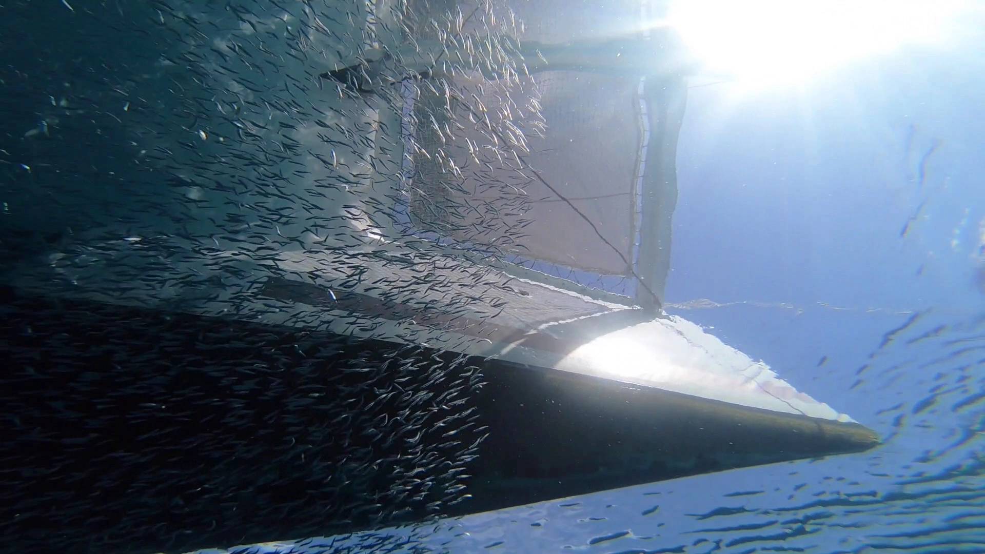 photo-croisière-en-catamaran-fountaine-pajot