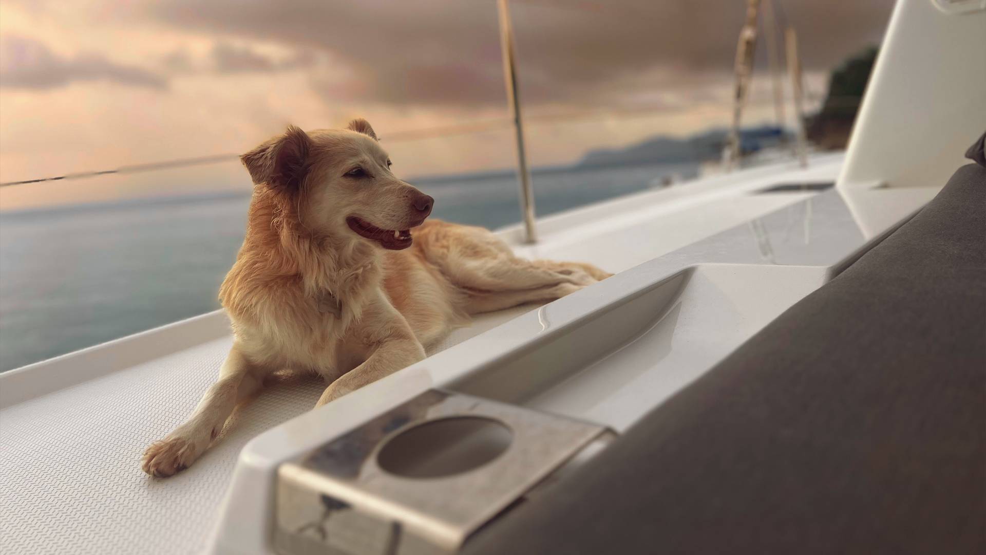 I:\6 - ACTIONS DE COMMUNICATION\2 - RESEAUX SOCIAUX\FACEBOOK\POST FACEBOOK\2024\MARS - LGM 2024