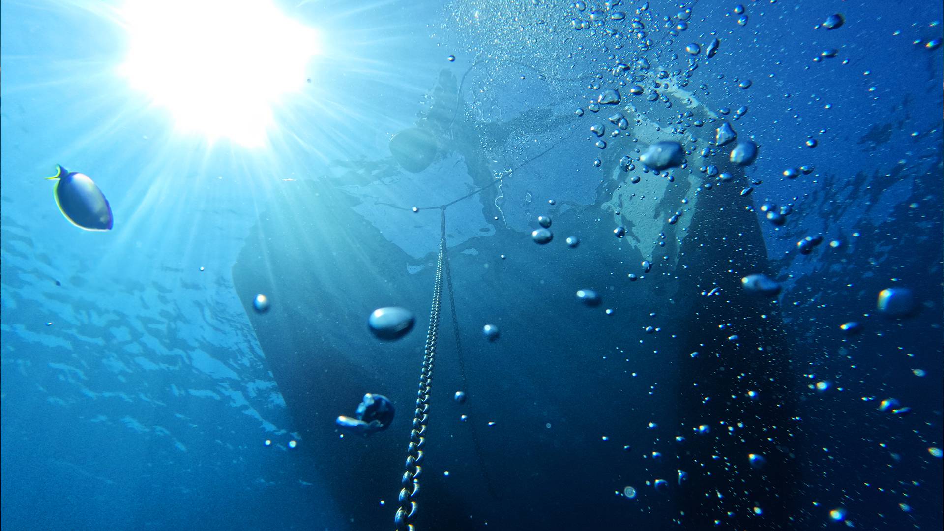 photocontest-My-Boat-And-I-2023-Astréa-42-Mojo-Sailing-Family-underwater
