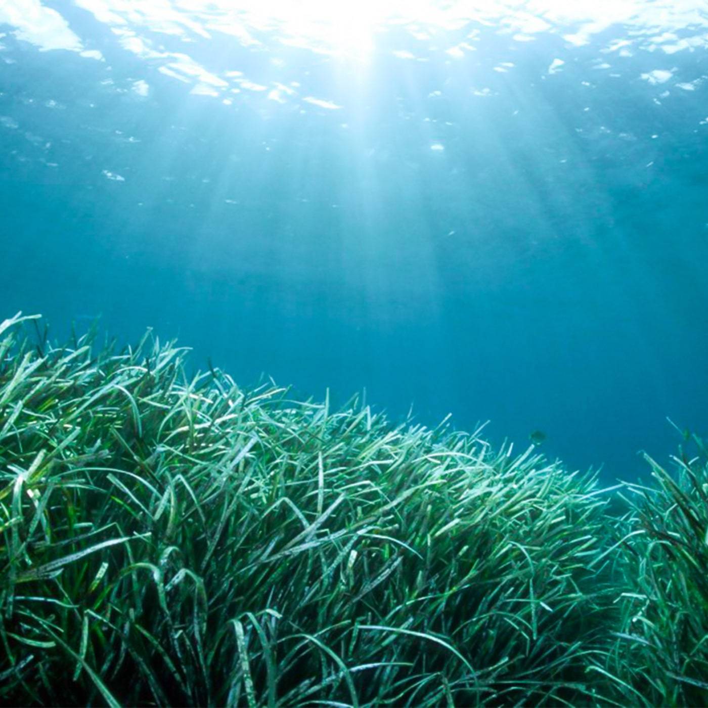 IMG 5 Double img 1 - Navigation-min