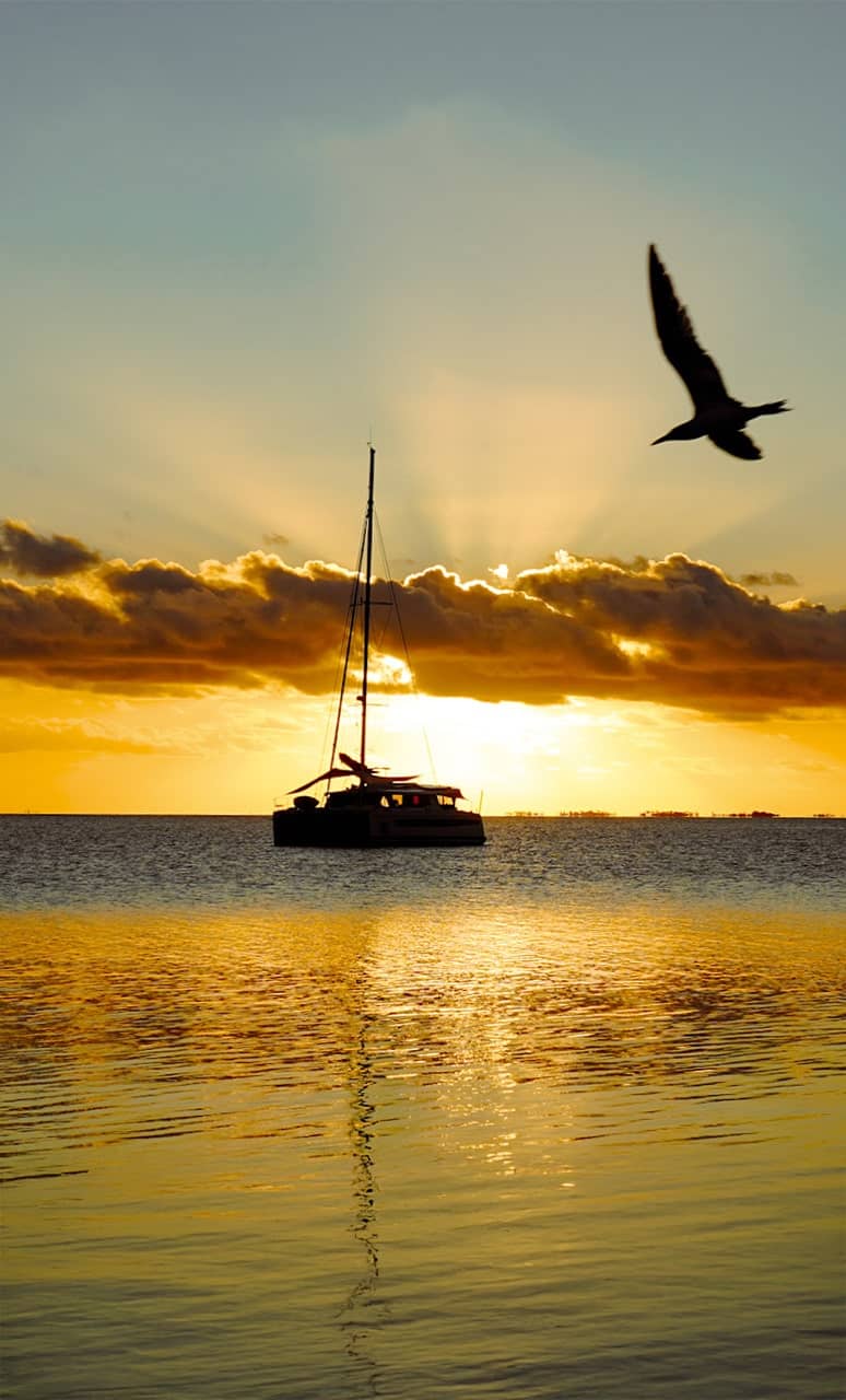 Fountaine-pajot-vous-souhaites-les-meilleurs-voeux-2025