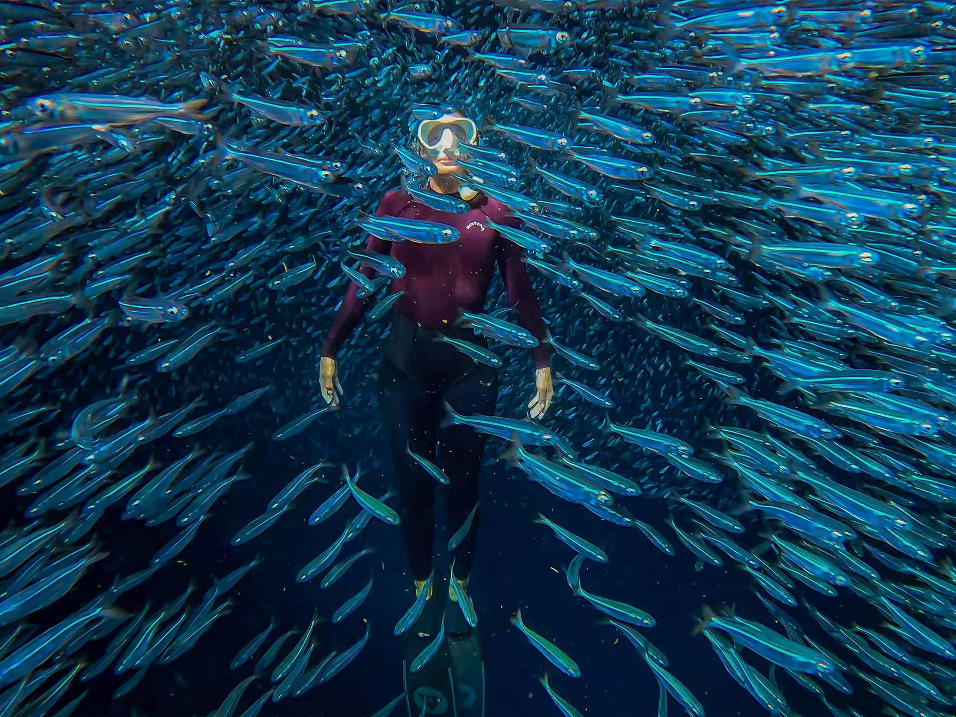 Liberté-Aventure-Hélia-44-catamaran-Fountaine-Pajot-Gagnant-Concours-Photos-Garmin