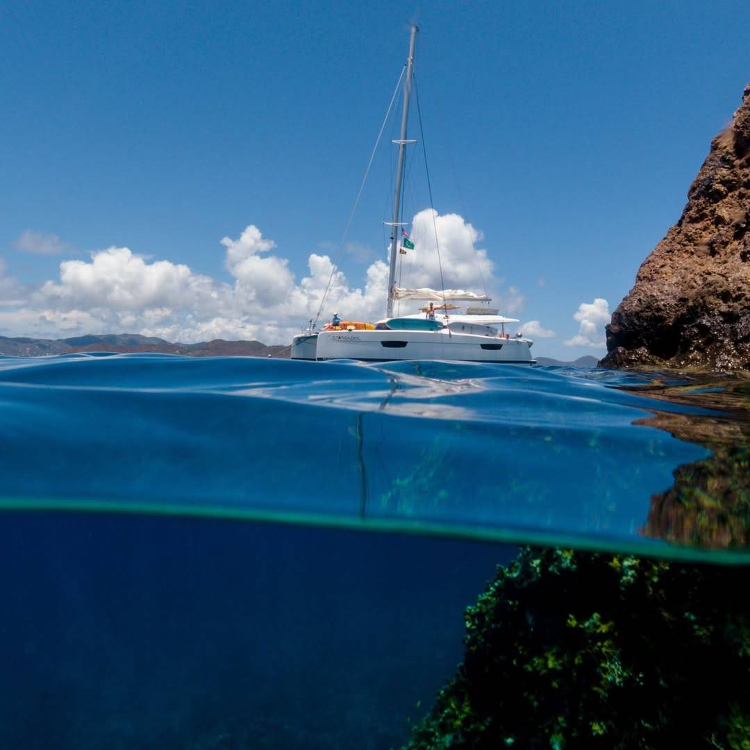 A beautiful day of snorkeling aboard the Stargazer last month. #myboatandi2022 #fountainepajot #