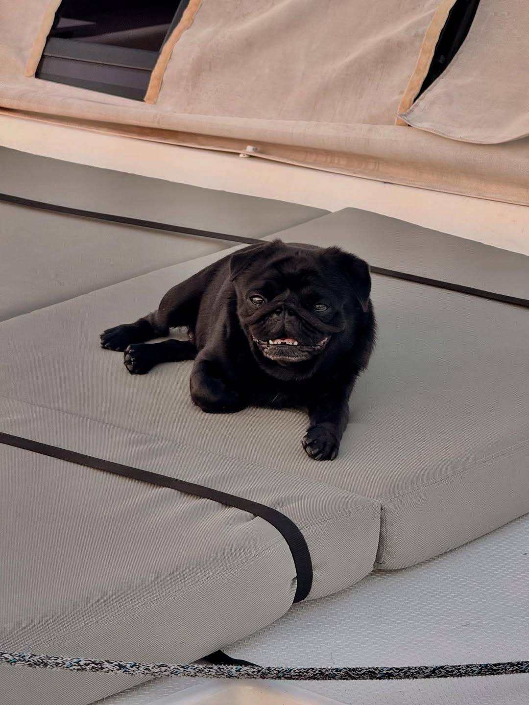 Boat life NOT always like this… But always our way. 1. Me, fighting the wind for a selfie (my ha (5)