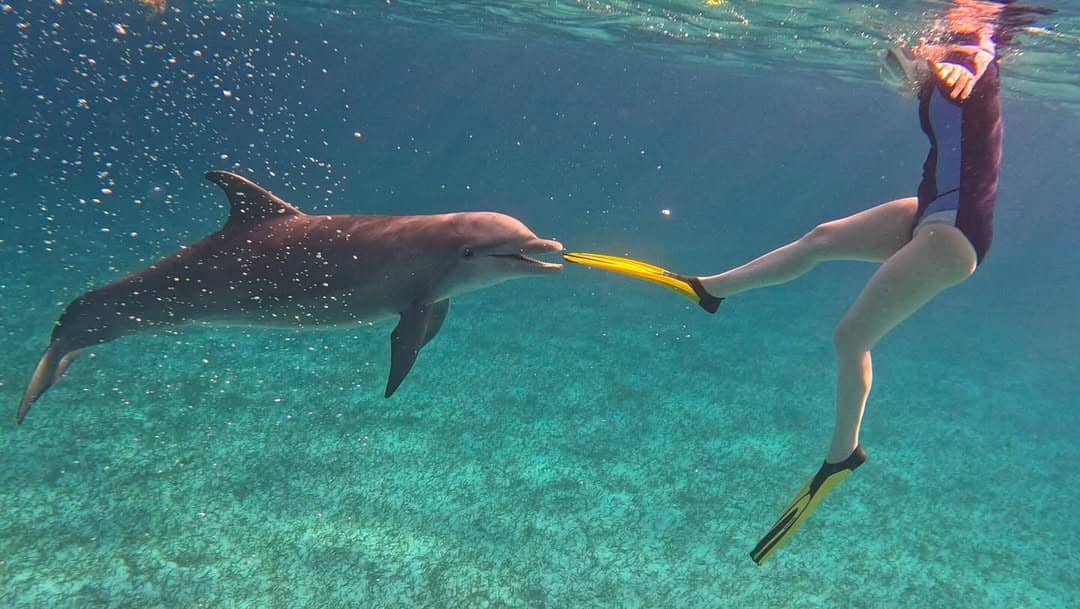 Quelques images marquantes de notre saison 2025 !! @fountainepajot #myboatandi2025 #fountainepaj