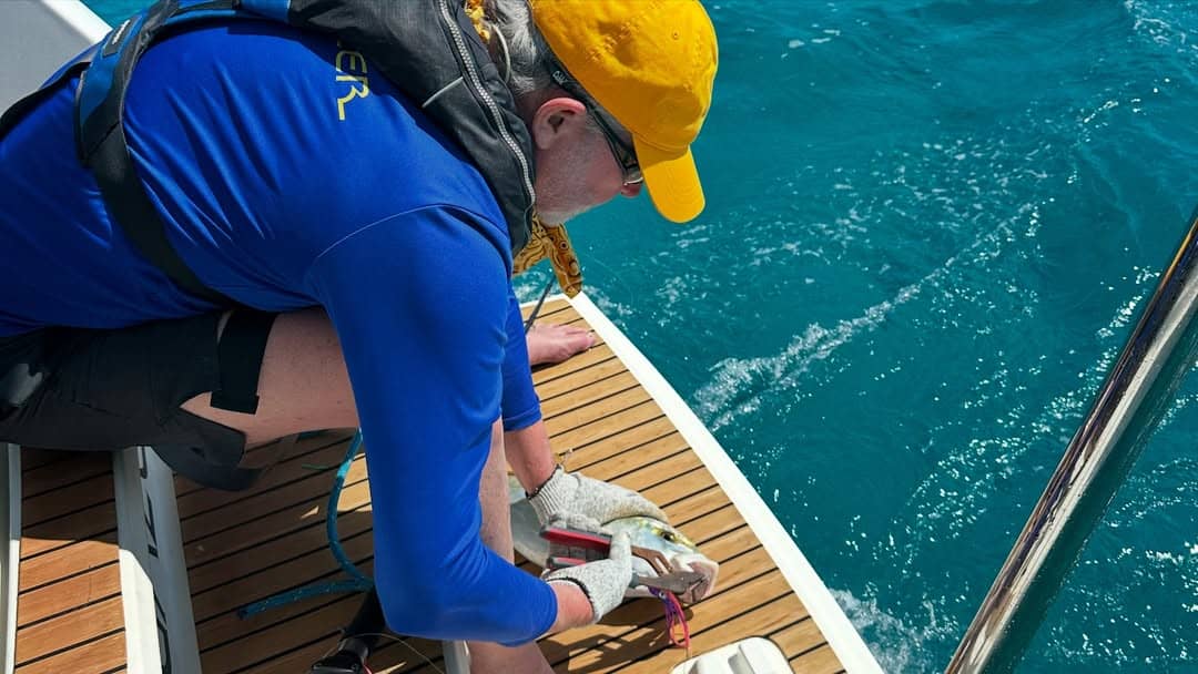 SaveClip.App_496145406_18052197257339818_7256127475200890114_n