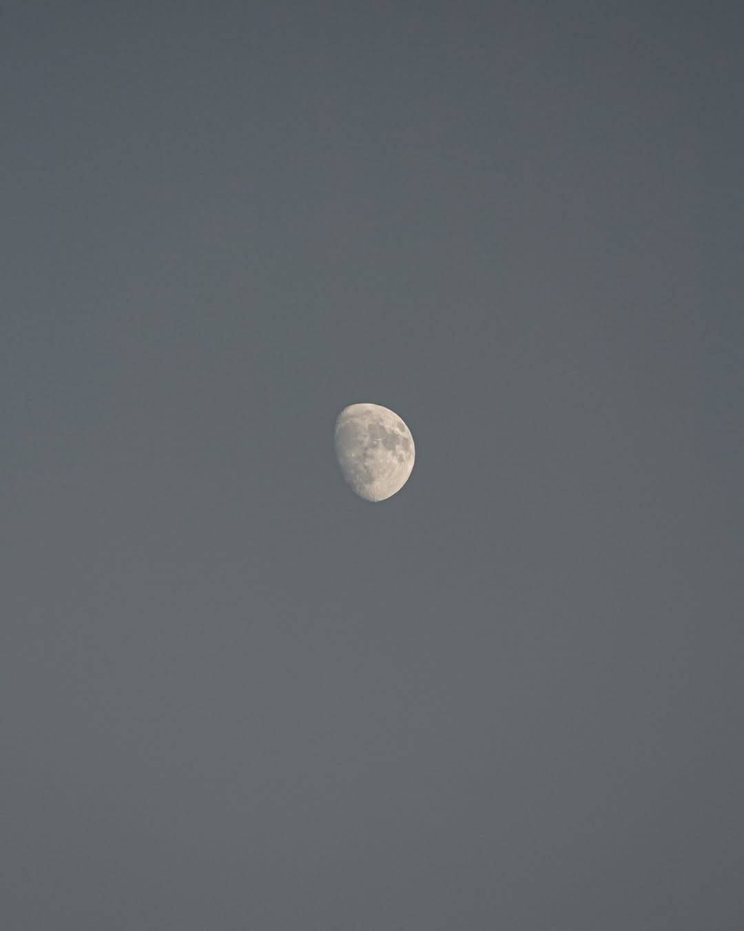 SaveInsta.to_520982206_17955570743967332_8256811881910691012_n