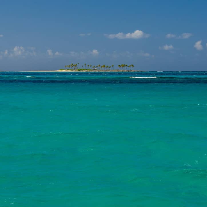 We coached Casey when she was a junior at St. Louis Rowing Club and having her join us on Starga (4)