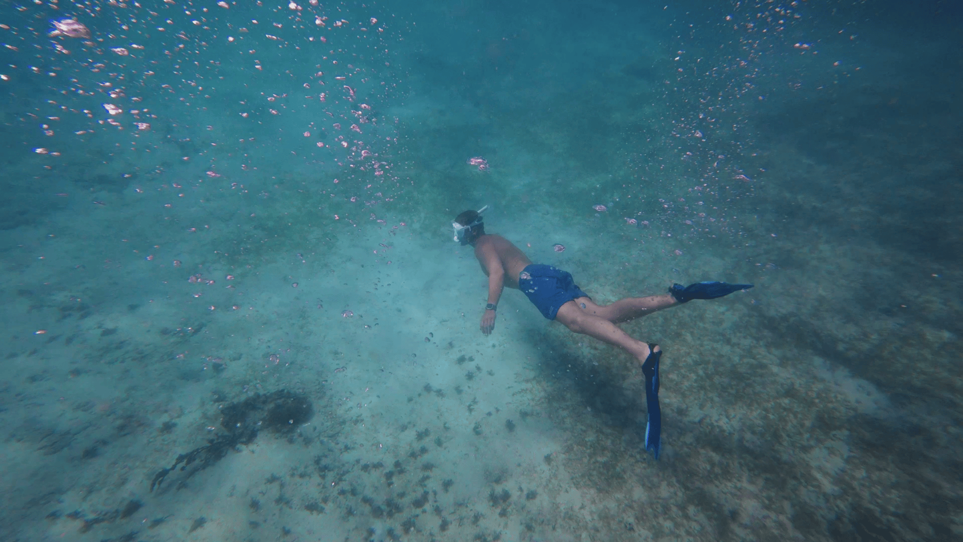 vlcsnap-2026-02-20-11h07m25s244