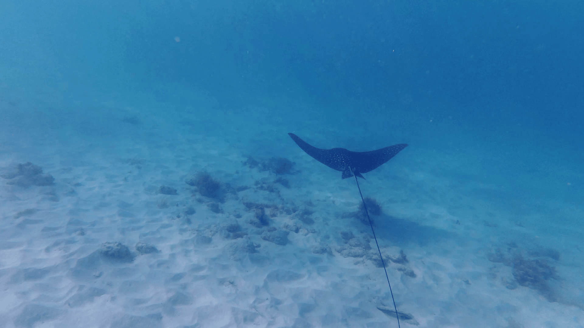 vlcsnap-2026-02-20-16h05m30s587